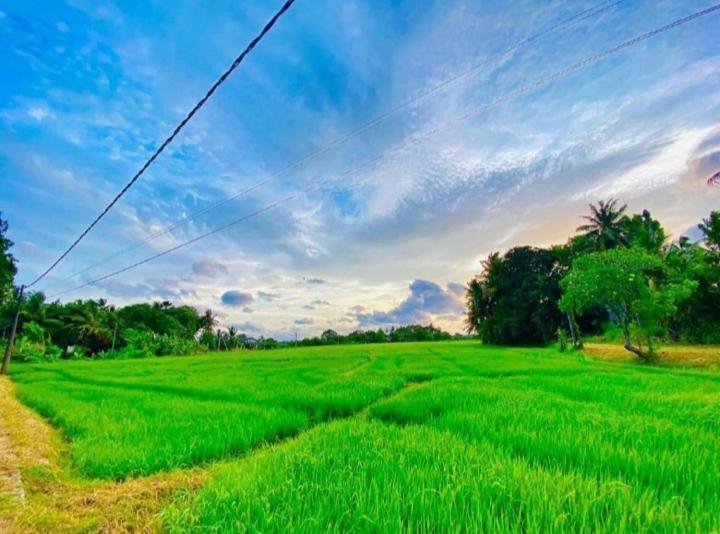 Arani Homestay โปลอนนารูวา ภายนอก รูปภาพ